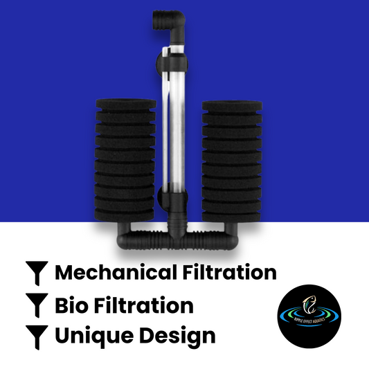 Sponge Filter - Type 4