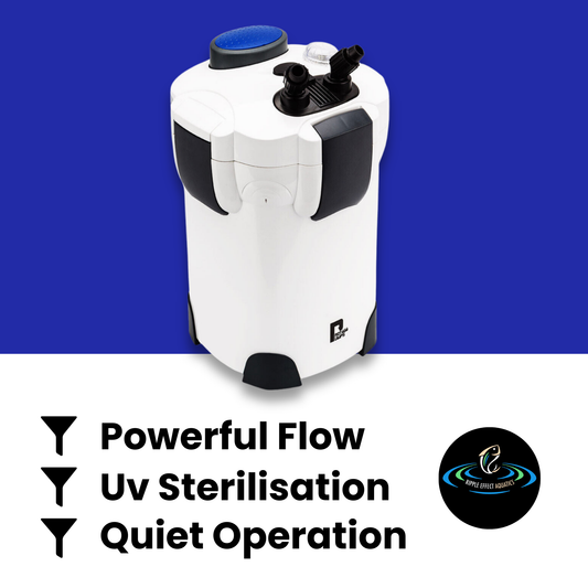 PROTEGE P4000 External Canister Filter with UV Steriliser - 1850L/H