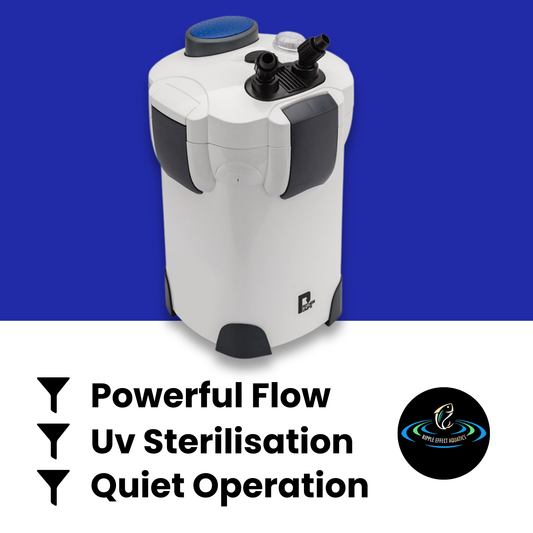 PROTEGE Ultra Series External Canister Filter with UV Steriliser- 2400L/H