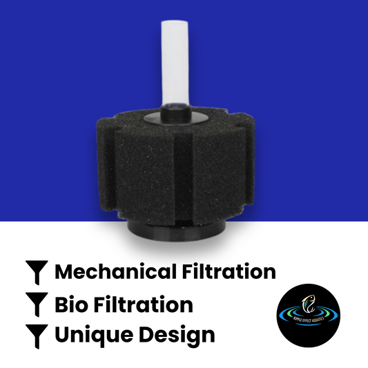 Sponge Filter - Type 6